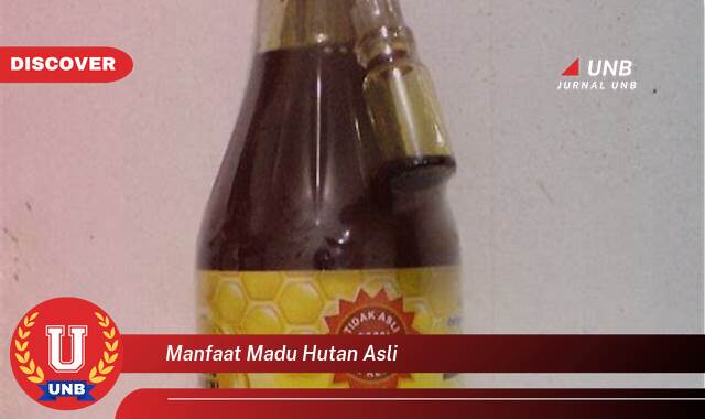 8 Manfaat manfaat madu hutan asli yang Bikin Kamu Penasaran