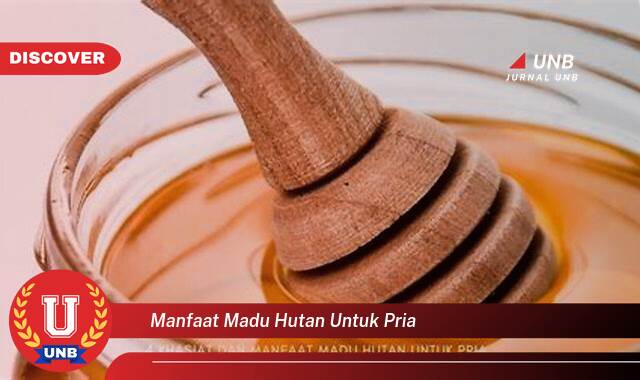 Temukan 10 Manfaat Madu Hutan untuk Pria, Kesehatan, Vitalitas, dan Energi