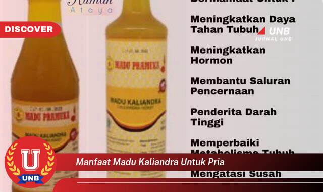 Temukan 10 Manfaat manfaat madu kaliandra untuk pria yang Wajib kamu ketahui
