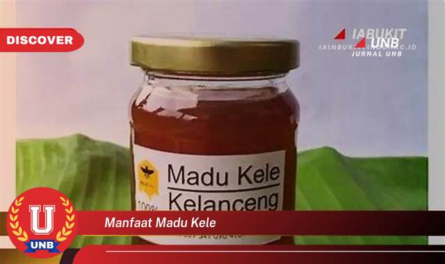 Temukan 8 Manfaat Madu Kele untuk Kesehatan Tubuh dan Kecantikan Kulit