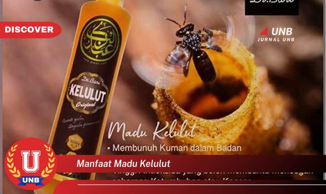 Temukan 8 Manfaat Madu Kelulut untuk Kesehatan, Kecantikan, dan Kebugaran Tubuh Anda Temukan 8 Manfaat Madu Kelulut untuk Kesehatan, Kecantikan, dan Kebugaran Tubuh Anda