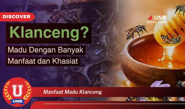 Temukan 8 Manfaat Madu Klanceng untuk Kesehatan Anda, Dari Meningkatkan Imunitas Hingga Mempercepat Penyembuhan Luka Temukan 8 Manfaat Madu Klanceng untuk Kesehatan Anda, Dari Meningkatkan Imunitas Hingga Mempercepat Penyembuhan Luka