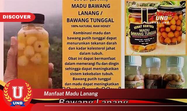 Inilah 8 Manfaat manfaat madu lanang yang tidak Semua Orang Tau