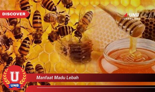 Temukan 9 Manfaat Madu Lebah untuk Kesehatan, Kecantikan, dan Lainnya