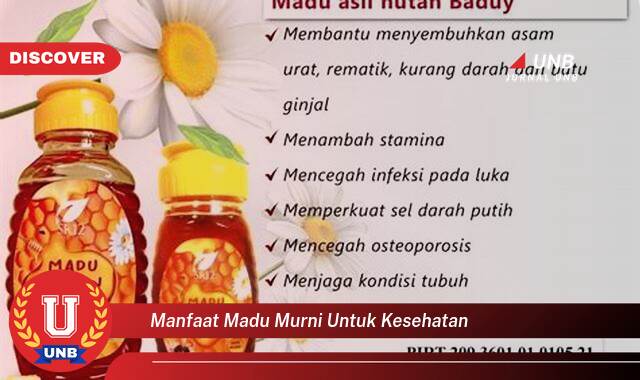 Inilah 9 Manfaat Madu Murni untuk Kesehatan yang Tak Semua Orang Tahu