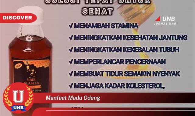 Inilah 8 Manfaat manfaat madu odeng yang Wajib kamu ketahui