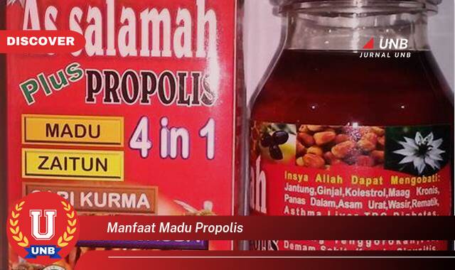 Temukan 10 Manfaat Madu Propolis untuk Kesehatan Tubuh Anda Secara Alami