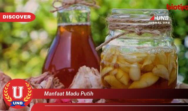 Ketahui 8 Manfaat Madu Putih yang Wajib Kamu Ketahui