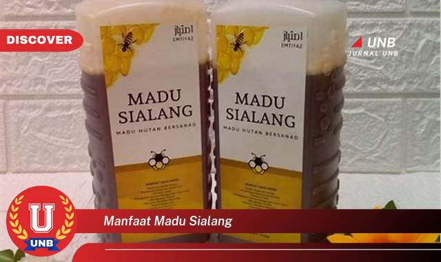 Temukan 8 Manfaat manfaat madu sialang yang Wajib Kamu Intip
