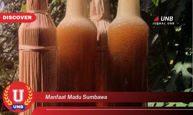 Inilah 10 Manfaat manfaat madu sumbawa yang Wajib Kamu Intip