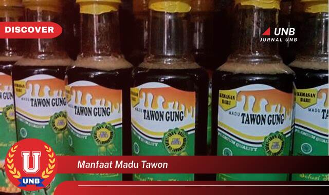 Ketahui 8 Manfaat manfaat madu tawon yang tidak Semua Orang Tau