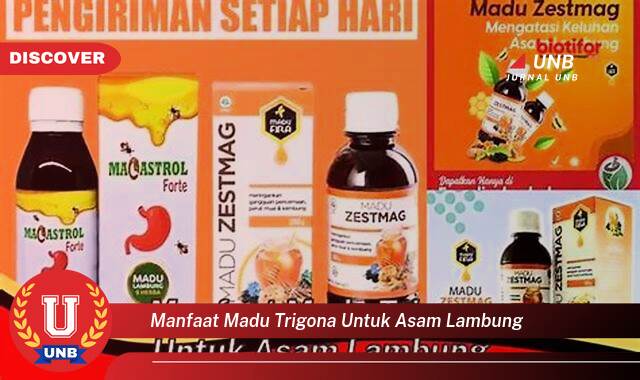 Ketahui 9 Manfaat manfaat madu trigona untuk asam lambung yang Jarang Diketahui