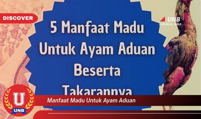 Inilah 10 Manfaat manfaat madu untuk ayam aduan yang Jarang Diketahui