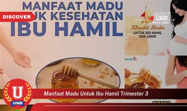 Inilah 9 Manfaat manfaat madu untuk ibu hamil trimester 3 yang tidak Semua Orang Tau