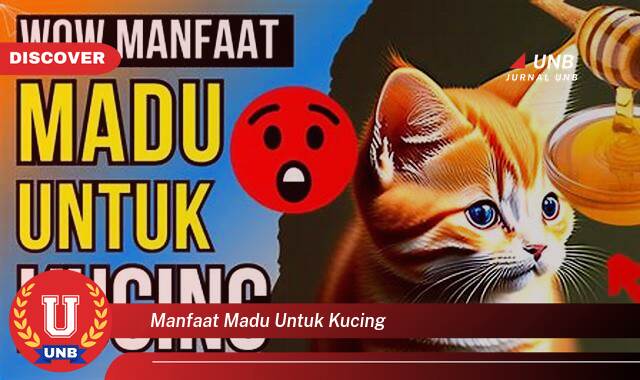 Temukan 9 Manfaat Madu untuk Kucing, Kesehatan, Luka, & Imunitas