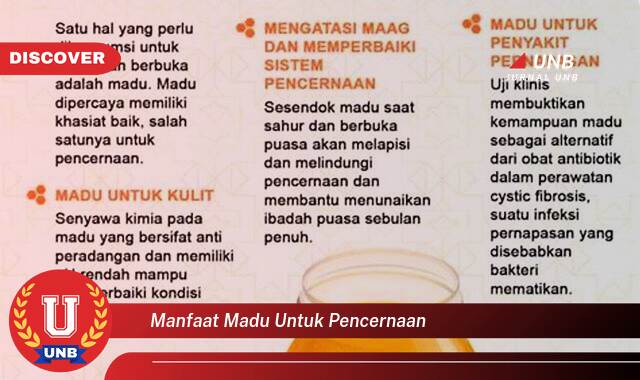Ketahui 9 Manfaat manfaat madu untuk pencernaan yang Jarang Diketahui