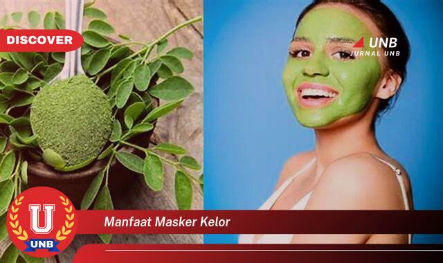 10 Manfaat manfaat masker kelor yang tidak Semua Orang Tau