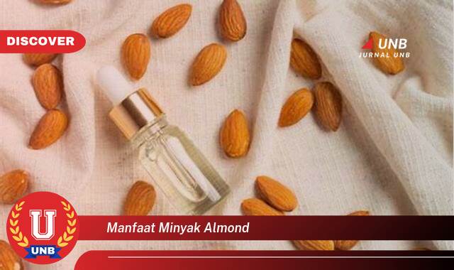Inilah 9 Manfaat manfaat minyak almond yang Wajib Kamu Intip