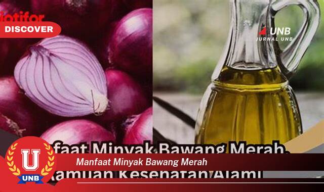 Ketahui 9 Manfaat manfaat minyak bawang merah yang Wajib Kamu Intip