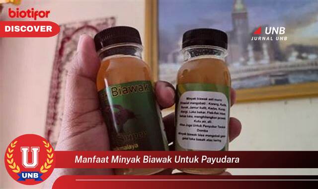 Temukan 9 Manfaat Minyak Biawak untuk Payudara, Mengencangkan, Memperbesar, dan Solusi Masalah Lainnya