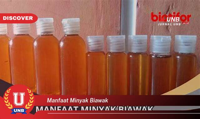 Temukan 9 Manfaat Minyak Biawak untuk Kulit, Mengatasi Luka, Gatal, dan Masalah Kulit Lainnya Temukan 9 Manfaat Minyak Biawak untuk Kulit, Mengatasi Luka, Gatal, dan Masalah Kulit Lainnya