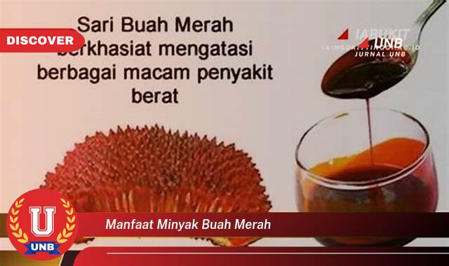 Temukan 8 Manfaat manfaat minyak buah merah yang Bikin Kamu Penasaran