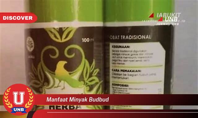Temukan 8 Manfaat manfaat minyak budbud yang Jarang Diketahui