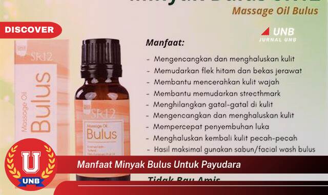 Temukan 8 Manfaat Minyak Bulus untuk Payudara,  Khasiat, Cara Pakai, dan Efek Samping