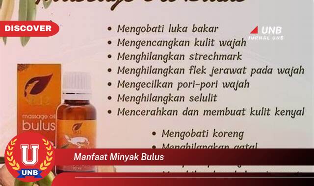 Temukan 8 Manfaat Minyak Bulus untuk Kulit, Rahasia Kecantikan Alami yang Terbukti Ampuh Temukan 8 Manfaat Minyak Bulus untuk Kulit, Rahasia Kecantikan Alami yang Terbukti Ampuh