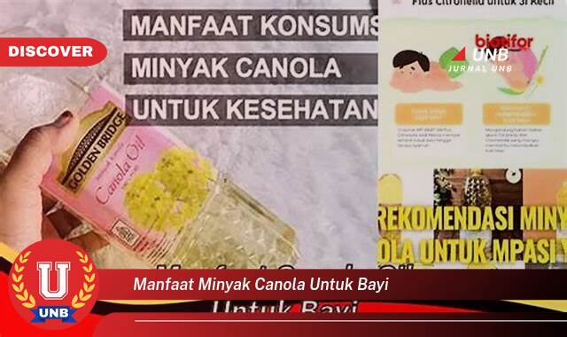 Temukan 9 Manfaat Minyak Canola untuk Bayi,  Keamanan, Nutrisi, dan Tips Penggunaan