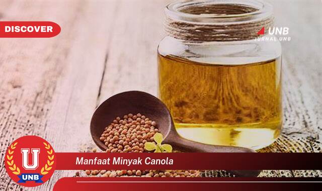 Ketahui 9 Manfaat manfaat minyak canola yang Wajib Kamu Intip