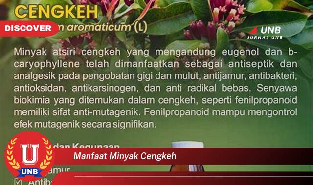 Temukan 10 Manfaat Minyak Cengkeh untuk Kesehatan Tubuh dan Rumah Tangga