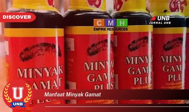 Inilah 8 Manfaat Minyak Gamat yang Tak Banyak Orang Tau