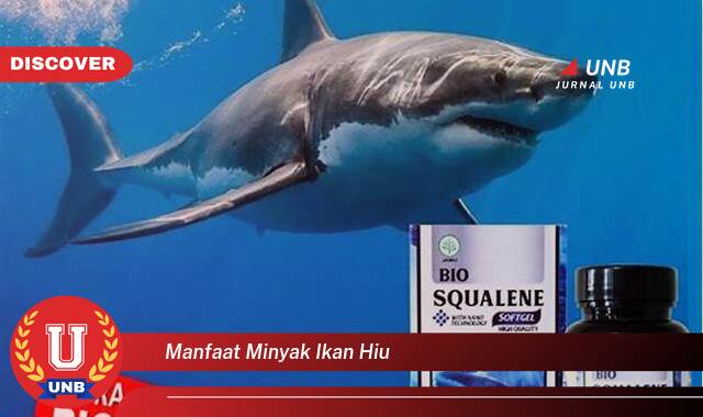 Temukan 10 Manfaat Minyak Ikan Hiu untuk Kesehatan Anda Secara Keseluruhan