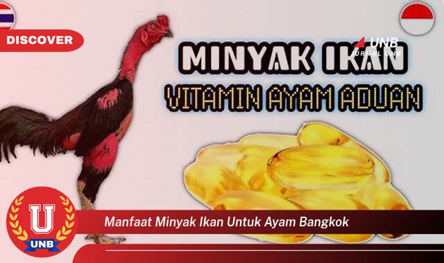 9 Manfaat Minyak Ikan untuk Ayam Bangkok yang Bikin Kamu Penasaran