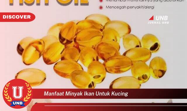 Temukan 8 Manfaat Minyak Ikan untuk Kucing, Meningkatkan Kesehatan dan Kesejahteraan Si Meong Temukan 8 Manfaat Minyak Ikan untuk Kucing, Meningkatkan Kesehatan dan Kesejahteraan Si Meong