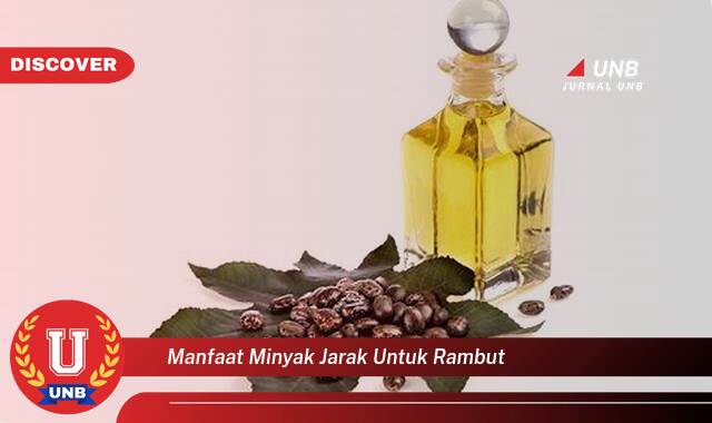 Temukan 8 Manfaat manfaat minyak jarak untuk rambut yang Wajib kamu ketahui