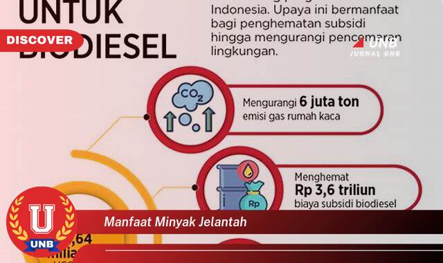 Temukan 8 Manfaat Minyak Jelantah yang Tak Terduga dan Cara Memanfaatkannya dengan Aman