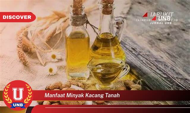 10 Manfaat minyak kacang tanah yang Jarang Diketahui
