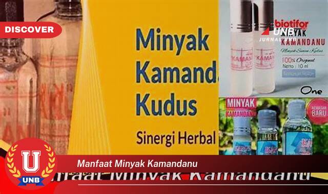 Temukan 10 Manfaat manfaat minyak kamandanu yang Bikin Kamu Penasaran