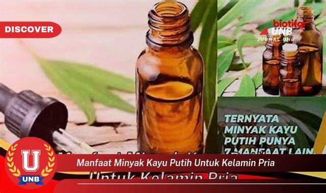 Temukan 9 Manfaat Minyak Kayu Putih untuk Kelamin Pria, Atasi Masalah dan Tingkatkan Kesehatan