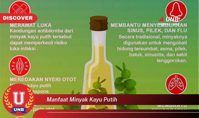 Temukan 9 Manfaat Minyak Kayu Putih untuk Kesehatan, Kecantikan, dan Rumah Tangga Temukan 9 Manfaat Minyak Kayu Putih untuk Kesehatan, Kecantikan, dan Rumah Tangga