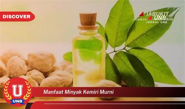 8 Manfaat manfaat minyak kemiri murni yang tidak Semua Orang Tau