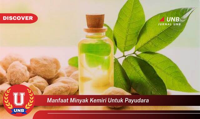 Ketahui 8 Manfaat manfaat minyak kemiri untuk payudara yang Bikin Kamu Penasaran