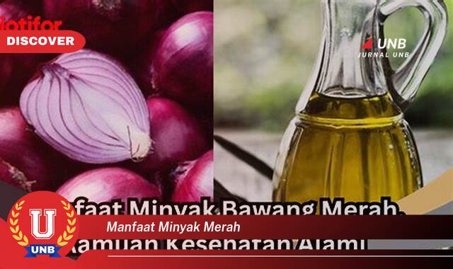 Temukan 8 Manfaat manfaat minyak merah yang Bikin Kamu Penasaran