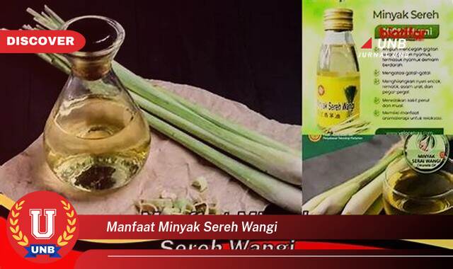 Temukan 9 Manfaat manfaat minyak sereh wangi yang Bikin Kamu Penasaran