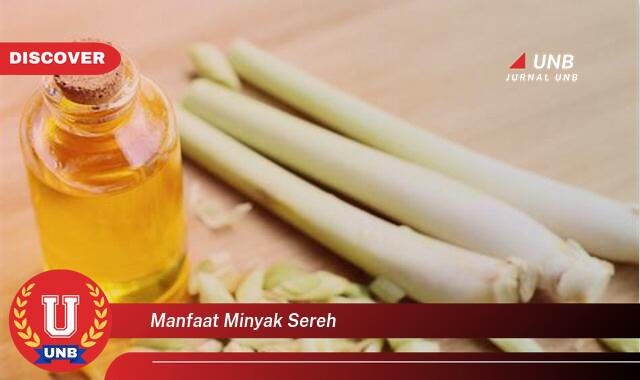 Temukan 10 Manfaat Minyak Sereh untuk Kesehatan, Kecantikan, dan Rumah Tangga Anda Temukan 10 Manfaat Minyak Sereh untuk Kesehatan, Kecantikan, dan Rumah Tangga Anda