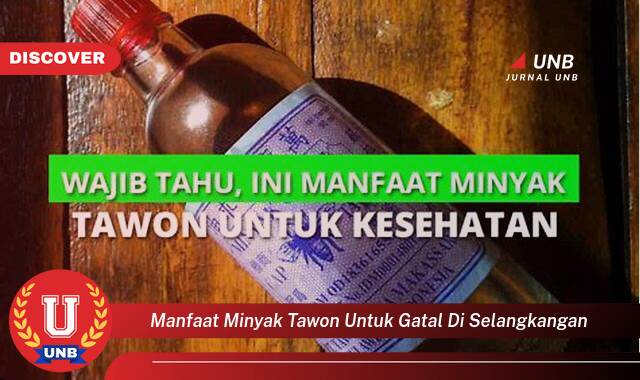 9 Manfaat minyak tawon untuk gatal di selangkangan yang Jarang Diketahui