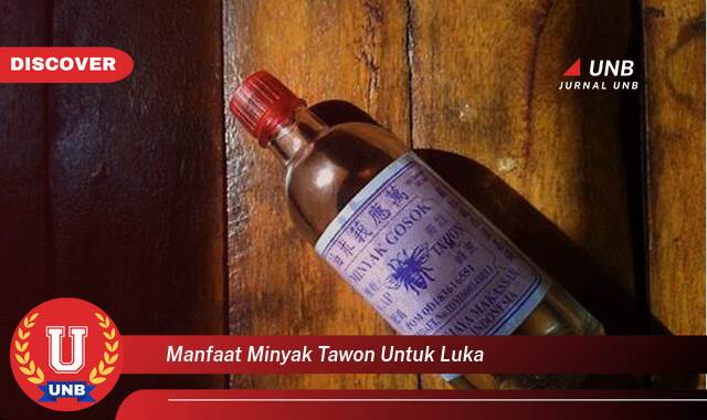 Temukan 8 Manfaat Minyak Tawon untuk Luka,  Meredakan Nyeri dan Mempercepat Penyembuhan Secara Alami