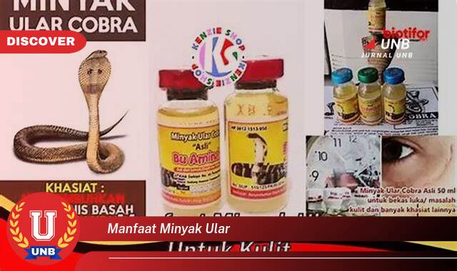 Temukan 8 Manfaat Minyak Ular untuk Kesehatan dan Kecantikan Kulit Anda